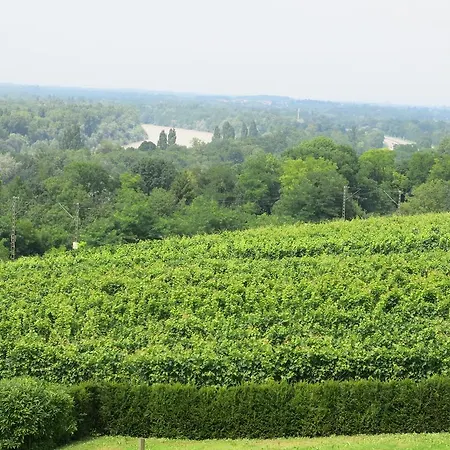 Billich * Bad Bellingen