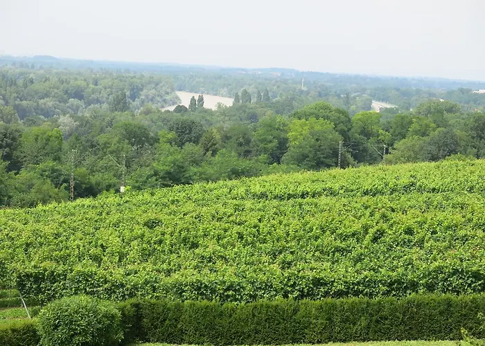 Billich * Bad Bellingen